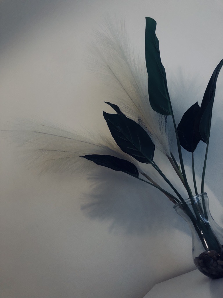 Decorative Dark Plant